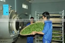 Oishi Green Tea SP2 ( Super Pekoe 2 ) is Famous Tea Brands From World Famous Tea Paris Viet Nam thumbnail-6
