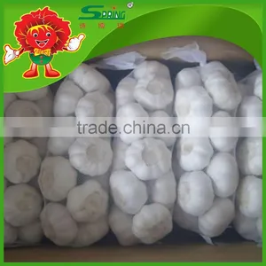 Nice Garlic From China Garlic Exporters China China Garlic Rates thumbnail-3