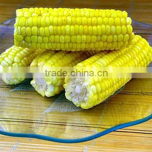 High-quality Frozen Sweet Corn by Pro of Safe and Healthy Food thumbnail-2