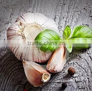 Cheap Wholesale Natural White Fresh Garlic With Mesh Bag thumbnail-1