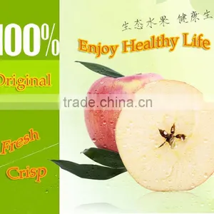 New 2016 Professional Delicious High Quality Fresh Red Hanfu Apple thumbnail-1