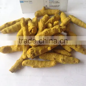 Turmeric Fingers thumbnail-2