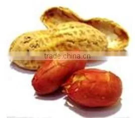Electric Herbs Roasting Machine/peanut Roaster/peanut Roasting Machine thumbnail-4
