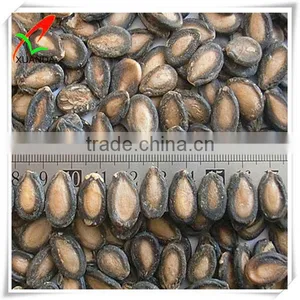 Chinese Watermelon Seeds thumbnail-1