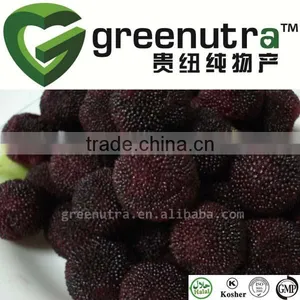 Sour Plum Powder thumbnail-1