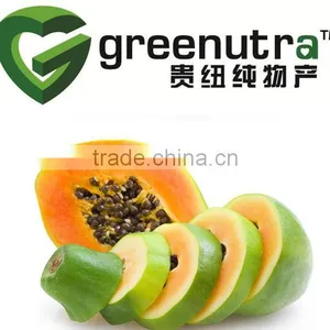 Papain Enzyme Powder thumbnail-1