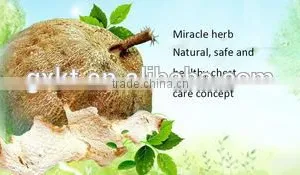 1000g Breast Enhencement Tea Thailand Pueraria Mirifica Tea Improve Menstrual Discomfort thumbnail-2