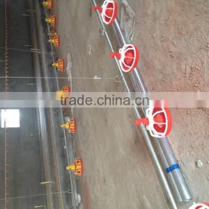 Breeder Chain Pan Feeding System thumbnail-6