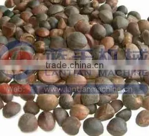 Middle and Small Size Energy Saving Spiral Oil Press Machine for Camellia Oleifera Seed thumbnail-4