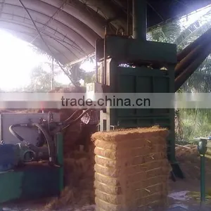 Popular in Southeast Asia Oil Palm Fibre Dryer/coco Pith Drying Machine Supplier thumbnail-4