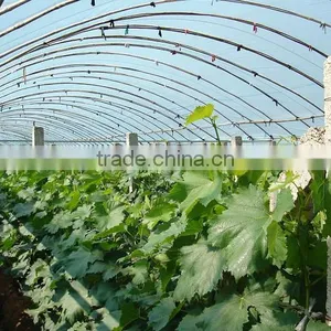 Film Greenhouse Transparent Stretch Film Greenhouse Usage Film thumbnail-1