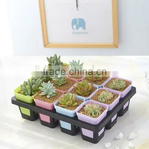 Plastic Flower Pot Rack -12 Grid thumbnail-2