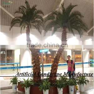 Garden/landscaping/home Decorative Indoor Palm Trees thumbnail-1