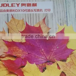 Audley 1.9m Multicolor Dx7 Head Eco Solvent Printer ADL-A1971 thumbnail-6