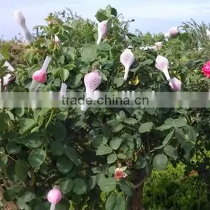 Thailand Hot Product Rose Flower Packaging Wrap Netting thumbnail-5