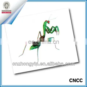 On Sale Tattoo Tip (ZY3-1038) thumbnail-1