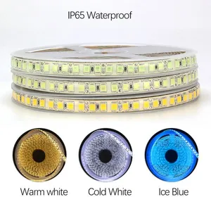 DC12V LED Strip 5054 120led/m 5M/Lot High Brightness 600LEDs 5054 Flexible LED Strip Light Ice Blue / Cold White thumbnail-3