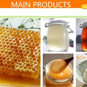 Shandong Miyuan Trade Co.,Ltd company overview - view 2 thumbnail
