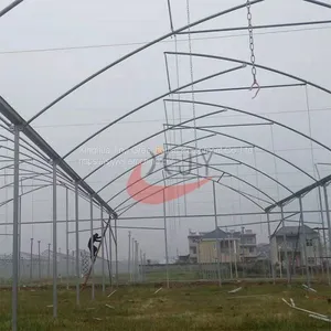 Saw Tooth Greenhouse China Glass Greenhouse Manufacturer thumbnail-2