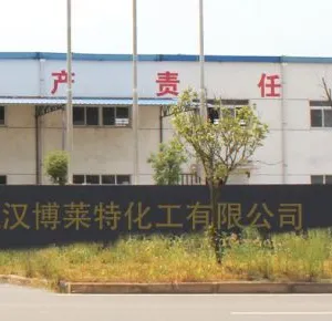 Wuhan Bright Chemical Co., Ltd company overview - view 1 thumbnail