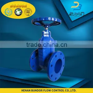 1 1 2 Cast Iron Double Disc Gate Valve thumbnail-2