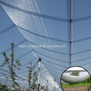 HDPE Agriculture Apple Tree Anti Hail Net for Plantations thumbnail-3