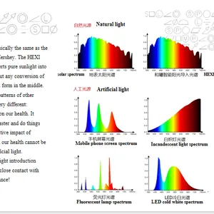 Intelligent Fiber Optic Sunlight Import System thumbnail-5
