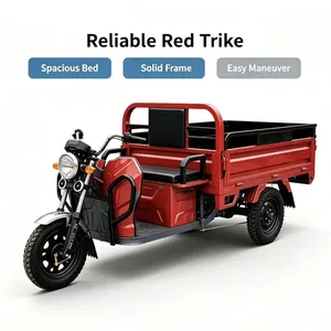 Factory Direct Electric Three Wheeler Cargo Passenger Dual Use Low Noise Stable Driving Electric Tricycle With 12 Months Warranty thumbnail-2