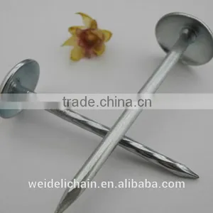 China Umbrella Roofing Nails With Twist Shank or Plain Shank thumbnail-4