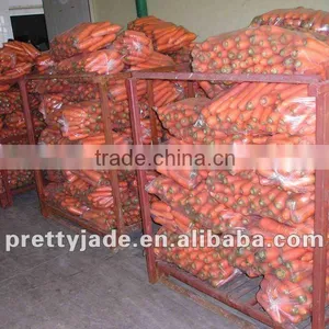 New Crop Chinese Fresh Carrot thumbnail-1