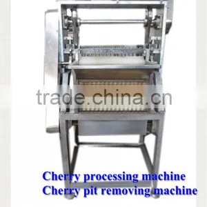 Fruit Stem Removing Machine / Chilli Stem Removing Machine thumbnail-4