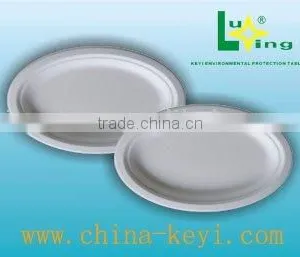 Big Oval Plate thumbnail-1