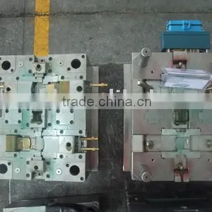 Precise Injection Mould thumbnail-1