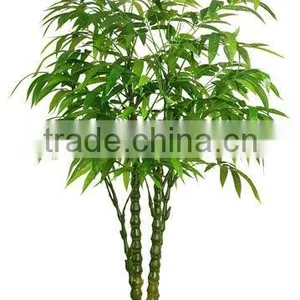 China Fake Bamboo Plant Potted in Planter thumbnail-1