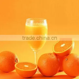 Organic Navel Juicy Orange for Sale thumbnail-1