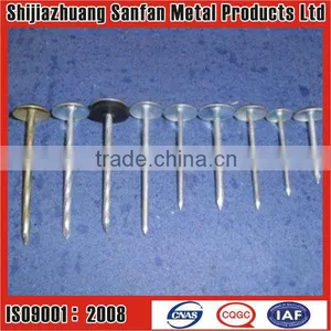 Umbrella Roofing Nails(polished or Galvanized) thumbnail-1