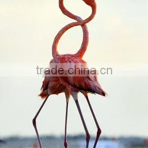 Hot Sell Living Room Pink Flamingo Animal Stretched Canvas Printing thumbnail-2