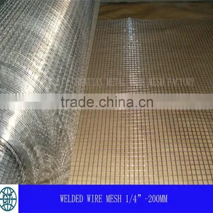 Galvanized Welded Wire Mesh 1/4" to 200mm Hole thumbnail-5