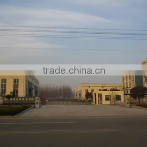 Linyi Yue Long Non-Woven Equipment Co., Ltd. company overview - view 2 thumbnail