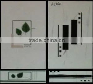 Kitchen Wall Tile Border thumbnail-1