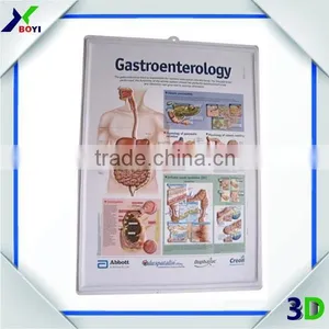 New Designs 3D PVC Embossed Medical Poster thumbnail-4
