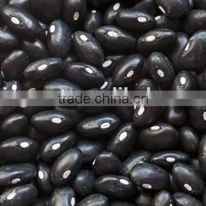 New Crop Kidney Beans, Black Beans With High Quality for Sale thumbnail-6