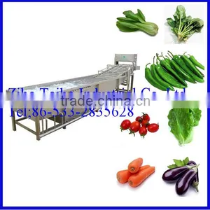 Ultrasonic Vegetable Washer Hot Sale thumbnail-1