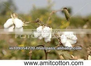 Textile Cotton thumbnail-1