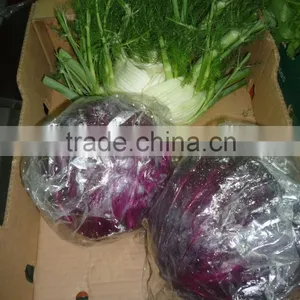 Fresh Cabbage thumbnail-2
