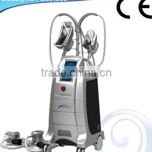 4 Cryo Handles Changable Cryolipolysis Weight Losing Beauty Equipment thumbnail-1