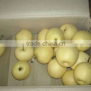 Excellent Crown With Cheaper Price for Sell thumbnail-2