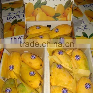 Sindhri Mango - Pakistan thumbnail-1