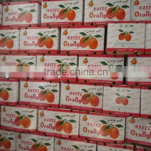 Navel Orange in Colourful Carton thumbnail-1