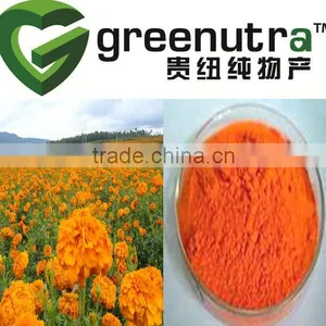 Lutein thumbnail-1